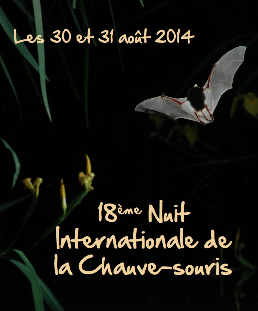 La 18ème nuit de la chauve-souris, dernier week-end d&rsquo;août 2014
