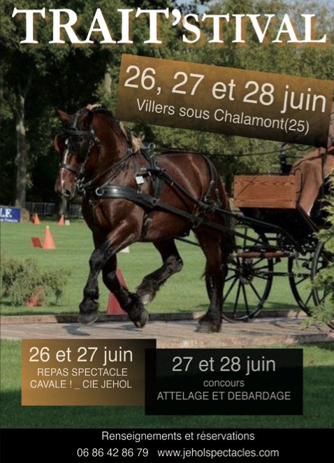 Pour la beauté des chevaux comtois à Villers-sous-Chalamont les 26, 27 et 28 juin