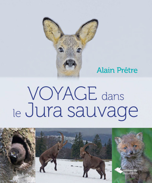 Voyage au cœur du Jura sauvage