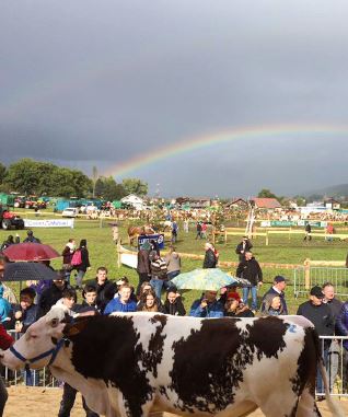 La saison des comices.