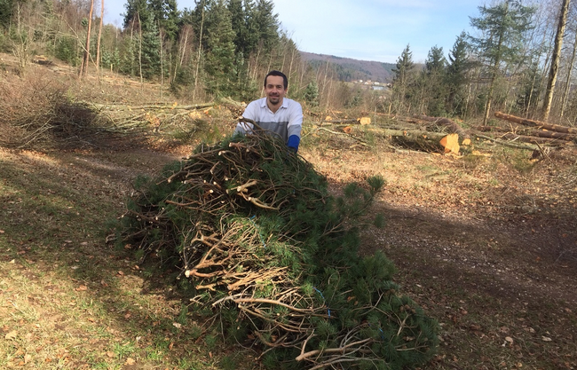 Innovation en Franche-Comté : le mariage des huiles essentielles et de l’apiculture bio.