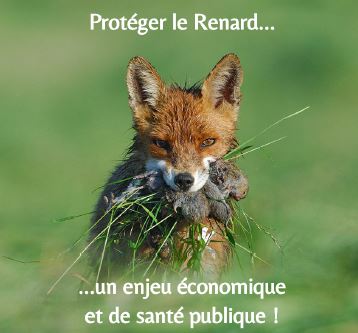 Et si traiter de nuisible un animal était une aberration ?