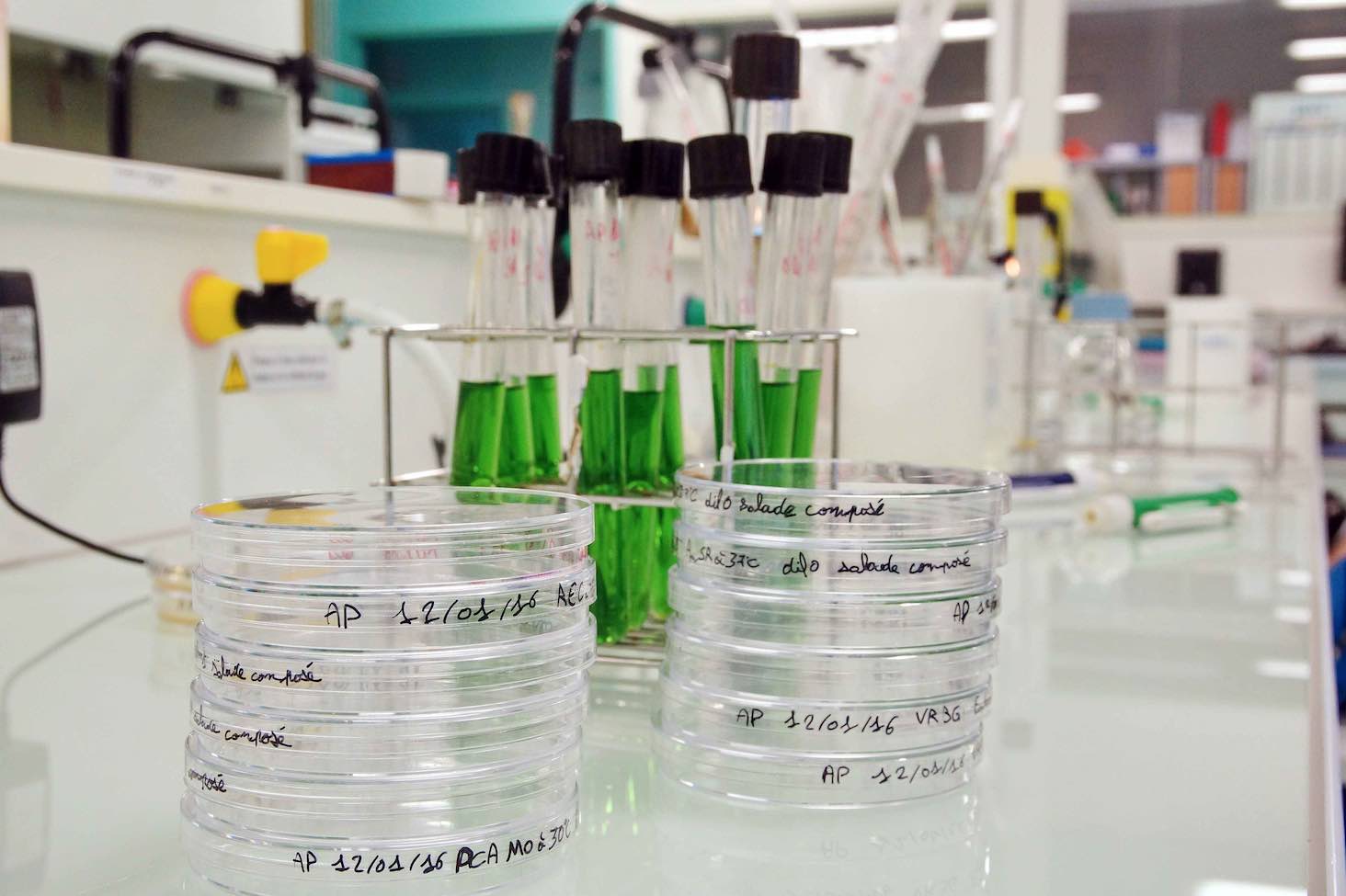 Les ENIL ouvrent leurs portes le 3 mars 2018 à Mamirolle et Poligny.