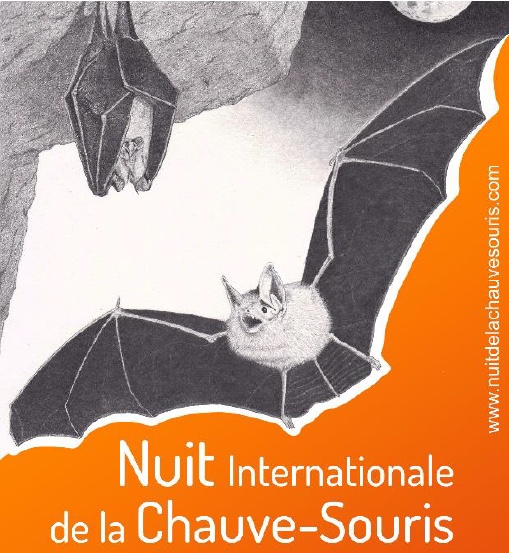 Nuit Internationale de la Chauve-souris cet été en Franche-Comté