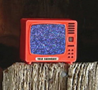 Les archives de Télé Saugeais en libre consultation.