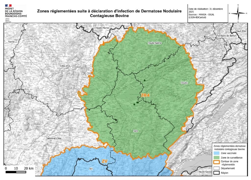 Dermatose nodulaire contagieuse bovine : assouplissement des mesures dans  le Doubs, le Jura et la Haute-Saône