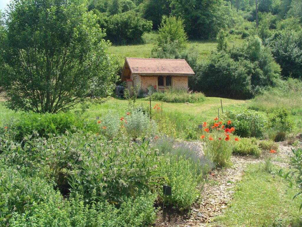 Les Plantes compagnes