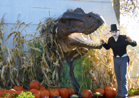 Le Dino-Zoo à l’heure des celtes