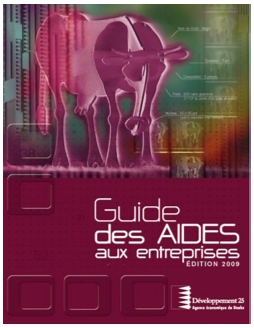 Le nouveau Guide des aides aux entreprises