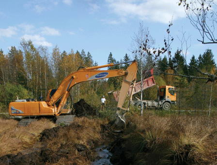 La fermeture du drain de la tourbière de Frasne.