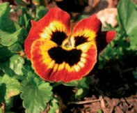 Un bon entretien vaut mieux que deux tu l’auras