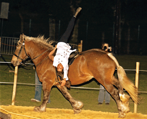 Festi’cheval vous présente sa 18ème édition
