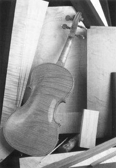 De l’arbre à l’instrument de musique