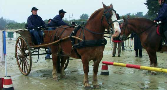 3ème édition d’Equi-Trait-Jeunes à Levier, les samedi 26 et dimanche 27 avril 2008