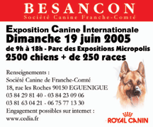 Exposition canine internationale à Besançon