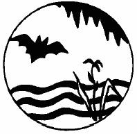 La 15ème nuit de la chauve-souris