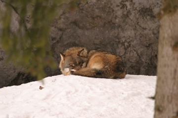 Les rendez-vous à la Maison de la Réserve, le vendredi 26 septembre 2008